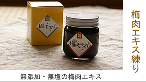 ▲紀州南高梅干通販専門店のこんにゃくで作った梅ペーパー